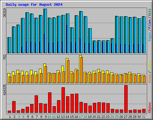 Daily usage for August 2024