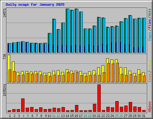 Daily usage for January 2025