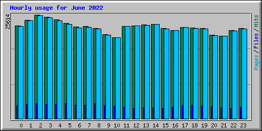 Hourly usage for June 2022