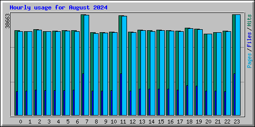 Hourly usage for August 2024