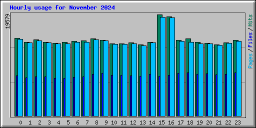 Hourly usage for November 2024