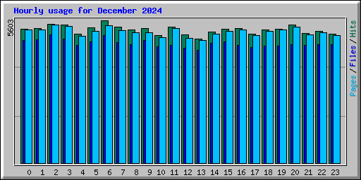 Hourly usage for December 2024