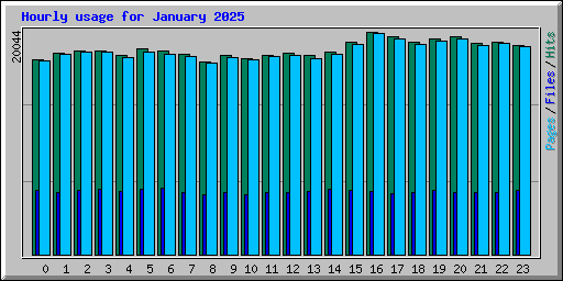 Hourly usage for January 2025