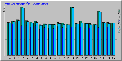 Hourly usage for June 2025