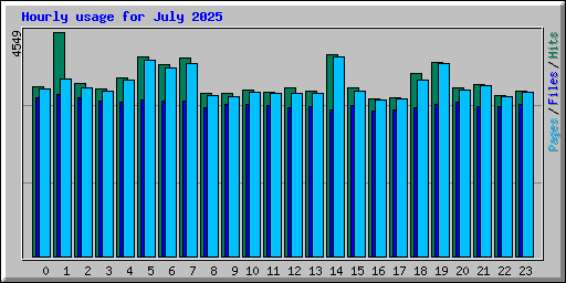 Hourly usage for July 2025