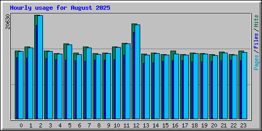 Hourly usage for August 2025