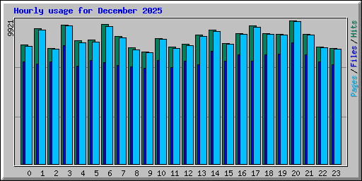 Hourly usage for December 2025