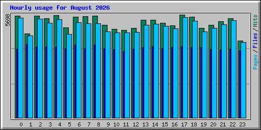 Hourly usage for August 2026